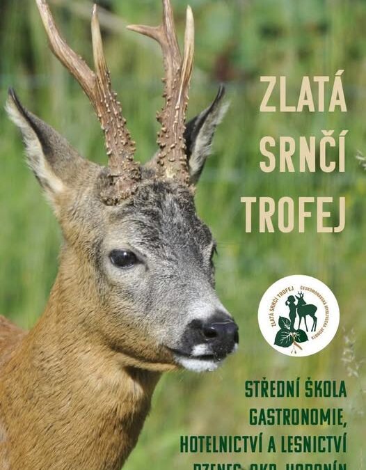 56. národní finále ZST se blíží